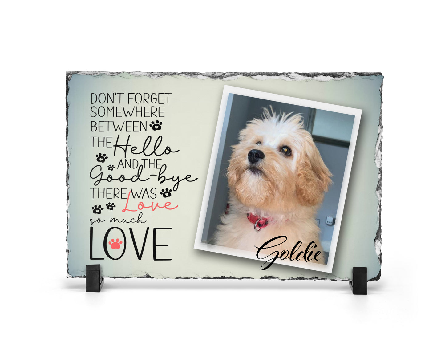 Pet photo rock slate